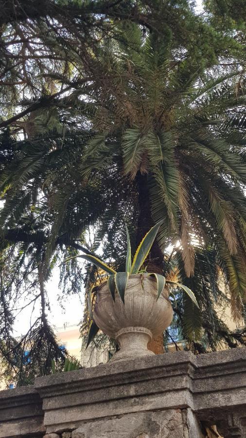 B&B Il Cedro Cava deʼ Tirreni Exterior foto